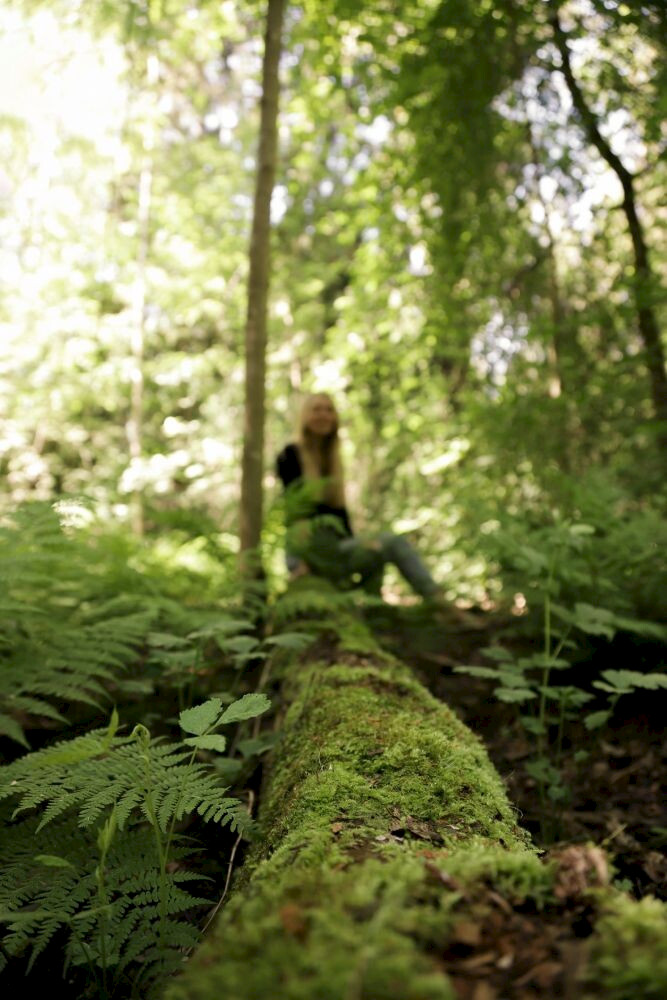 A crisp, snowy landscape symbolizing renewal